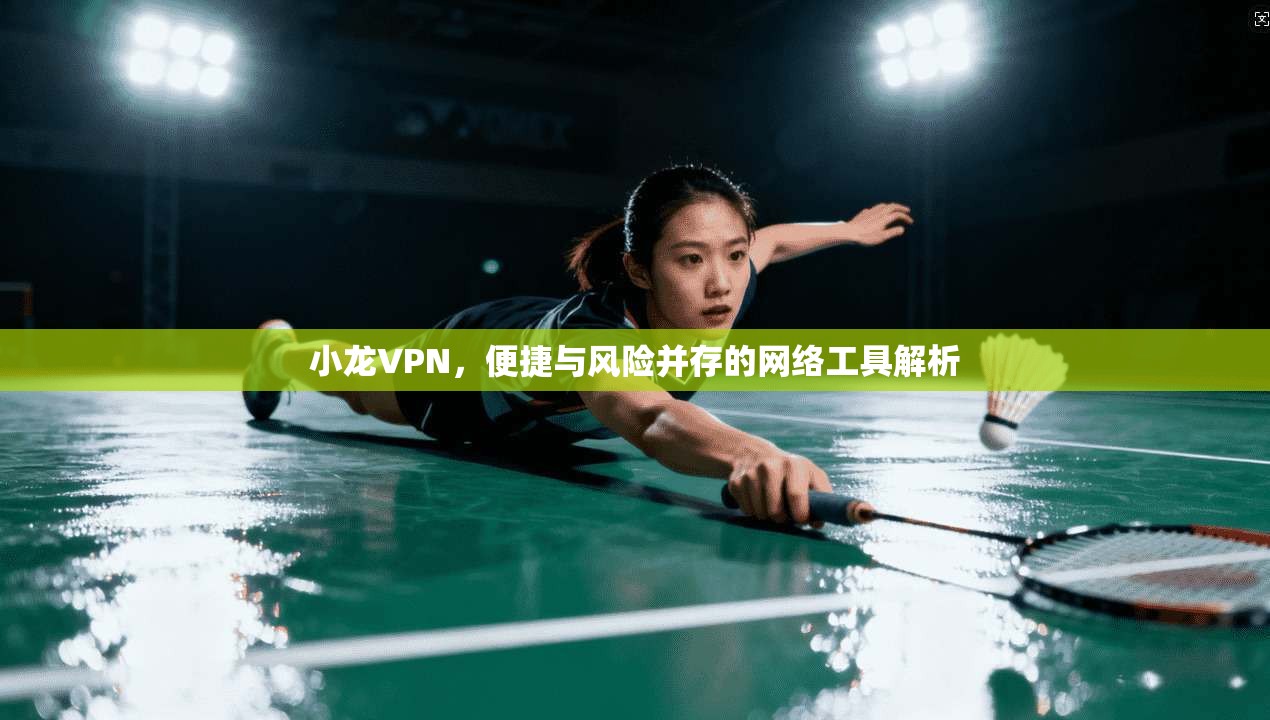 小龙VPN，便捷与风险并存的网络工具解析