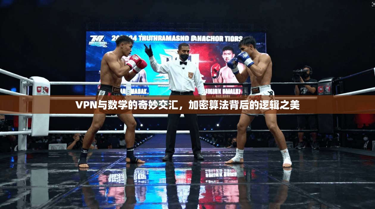 VPN与数学的奇妙交汇,加密算法背后的逻辑之美 VPN与数学的奇妙交汇,加密算法背后的逻辑之美