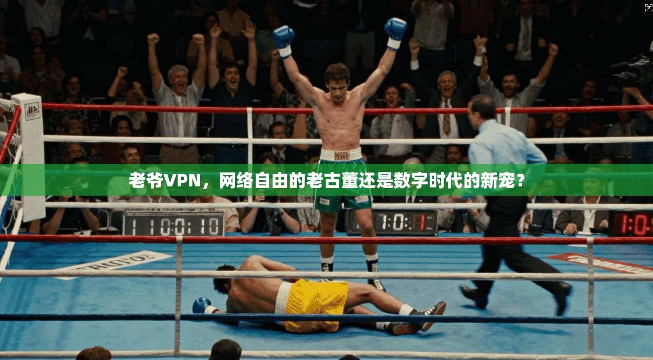 老爷VPN,网络自由的老古董还是数字时代的新宠? 老爷VPN,网络自由的老古董还是数字时代的新宠?