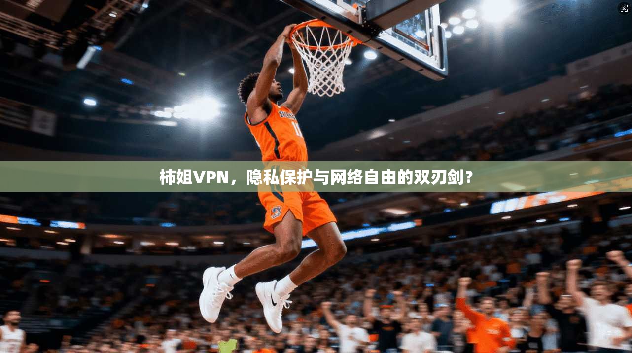 柿姐VPN，隐私保护与网络自由的双刃剑？