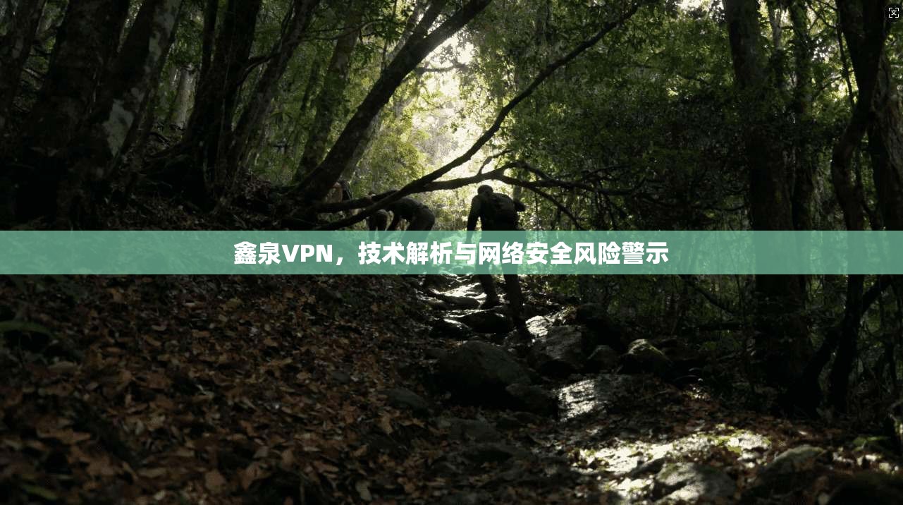 鑫泉VPN，技术解析与网络安全风险警示
