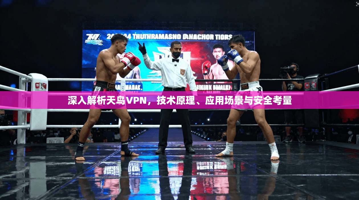 深入解析天鸟VPN，技术原理、应用场景与安全考量