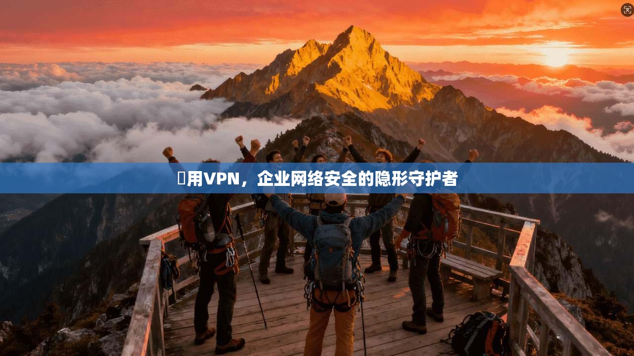 專用VPN,企业网络安全的隐形守护者 專用VPN,企业网络安全的隐形守护者