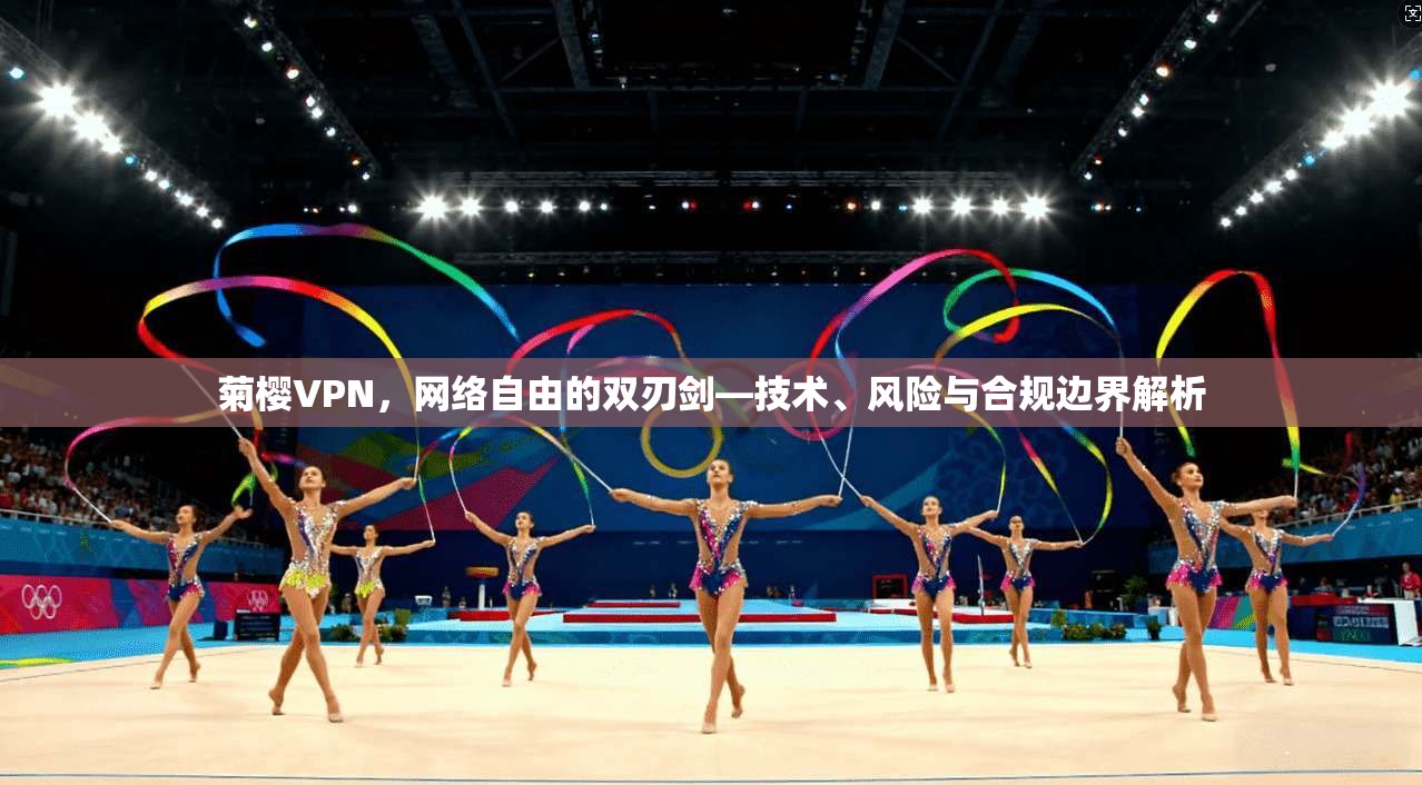 菊樱VPN,网络自由的双刃剑—技术、风险与合规边界解析 菊樱VPN,网络自由的双刃剑—技术、风险与合规边界解析