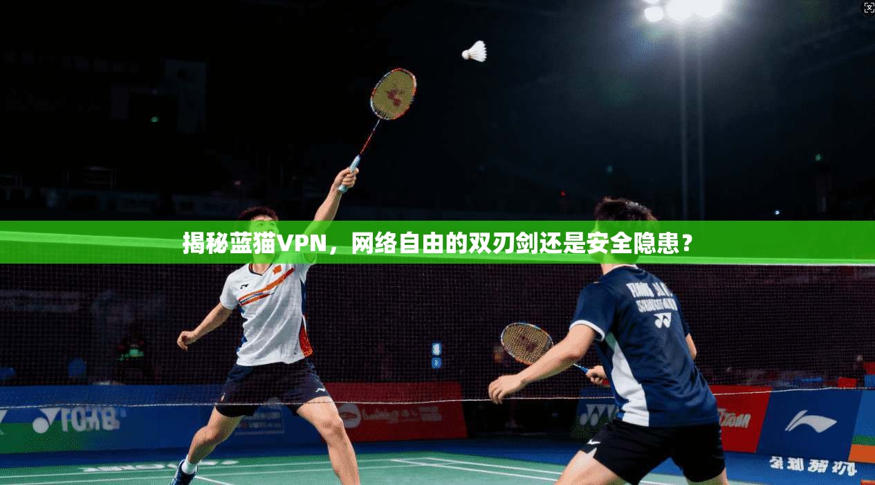 揭秘蓝猫VPN,网络自由的双刃剑还是安全隐患? 揭秘蓝猫VPN,网络自由的双刃剑还是安全隐患?