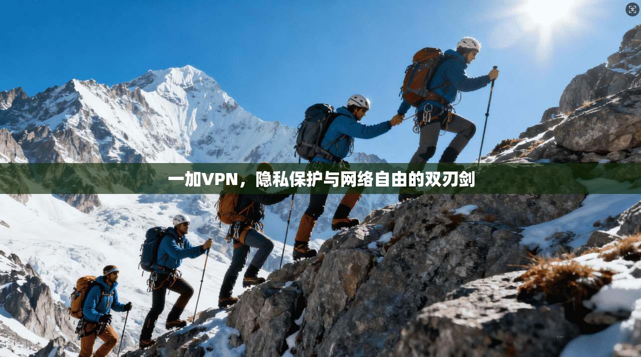 一加VPN，隐私保护与网络自由的双刃剑