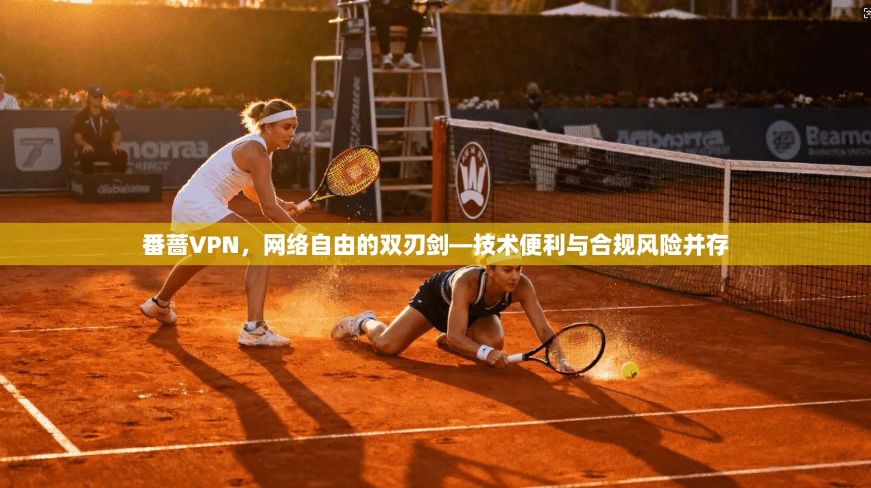 番蔷VPN，网络自由的双刃剑—技术便利与合规风险并存