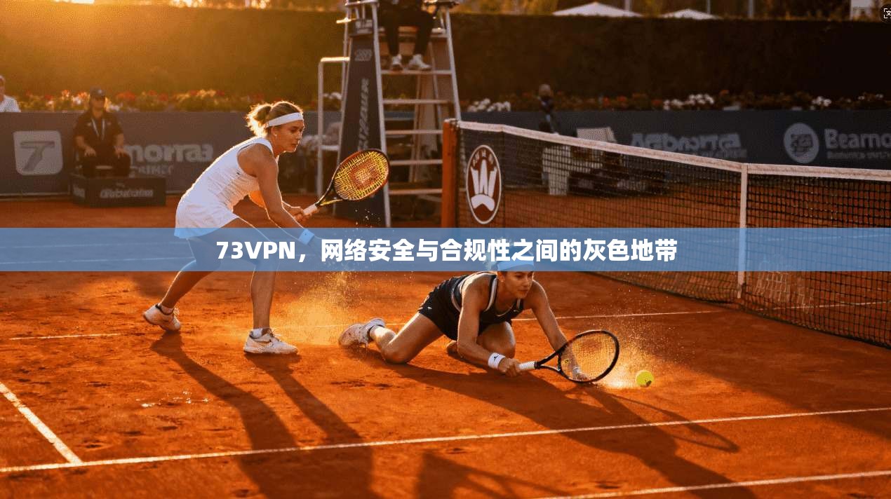 73VPN,网络安全与合规性之间的灰色地带 73VPN,网络安全与合规性之间的灰色地带