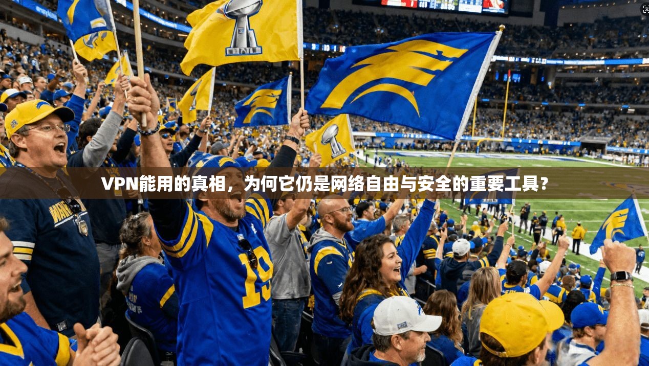 VPN能用的真相,为何它仍是网络自由与安全的重要工具? VPN能用的真相,为何它仍是网络自由与安全的重要工具?