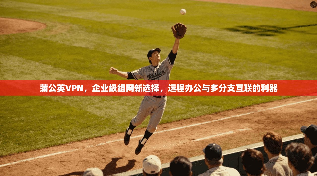 蒲公英VPN,企业级组网新选择,远程办公与多分支互联的利器 蒲公英VPN,企业级组网新选择,远程办公与多分支互联的利器