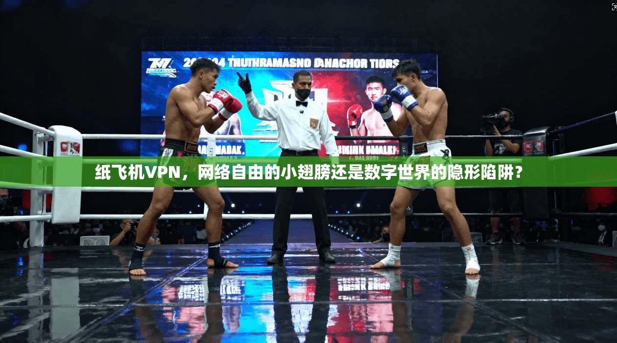 纸飞机VPN，网络自由的小翅膀还是数字世界的隐形陷阱？