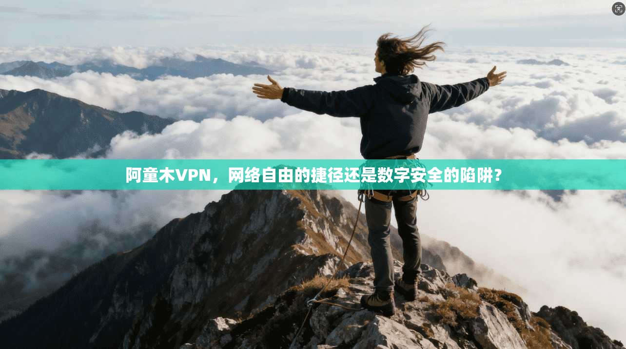 阿童木VPN，网络自由的捷径还是数字安全的陷阱？