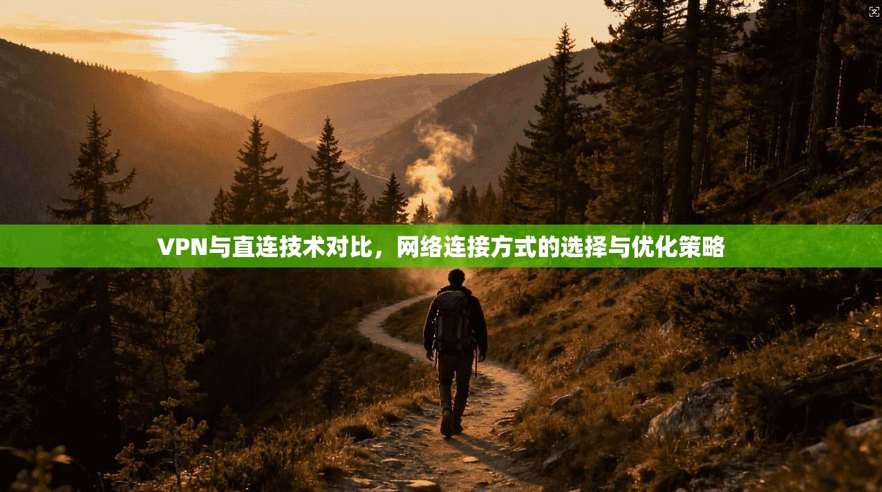 VPN与直连技术对比,网络连接方式的选择与优化策略 VPN与直连技术对比,网络连接方式的选择与优化策略