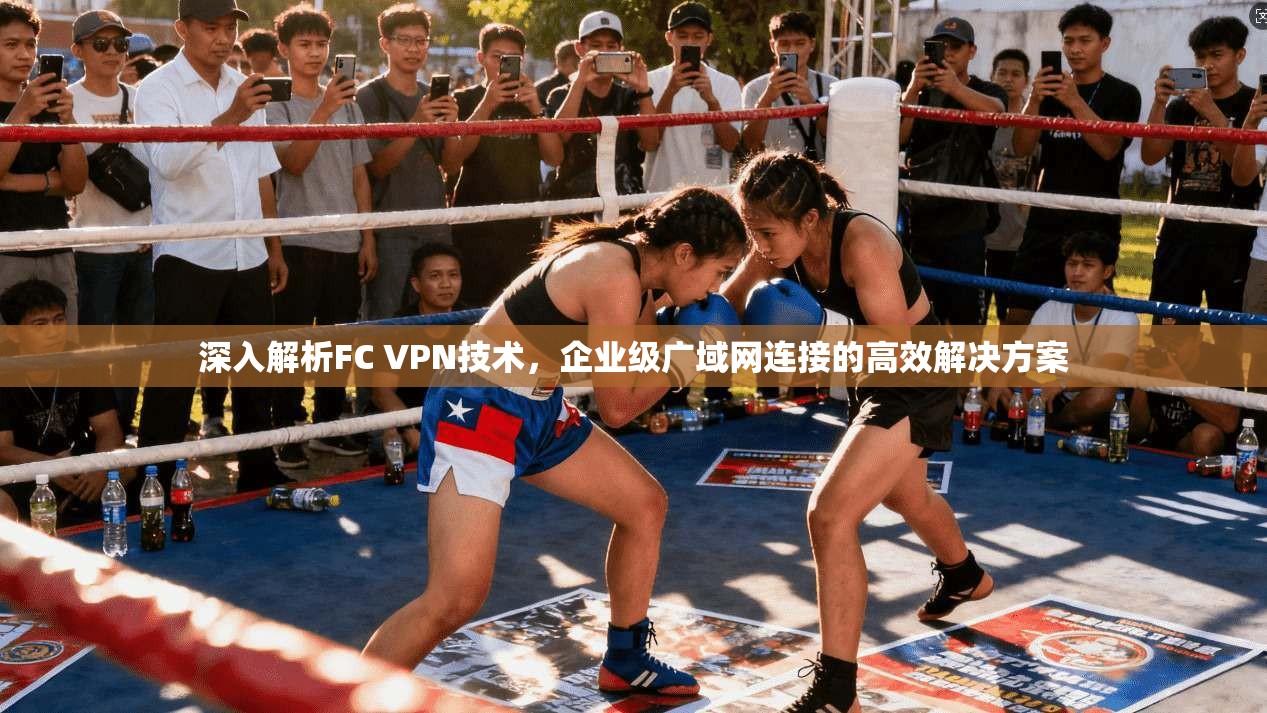 深入解析FC VPN技术，企业级广域网连接的高效解决方案