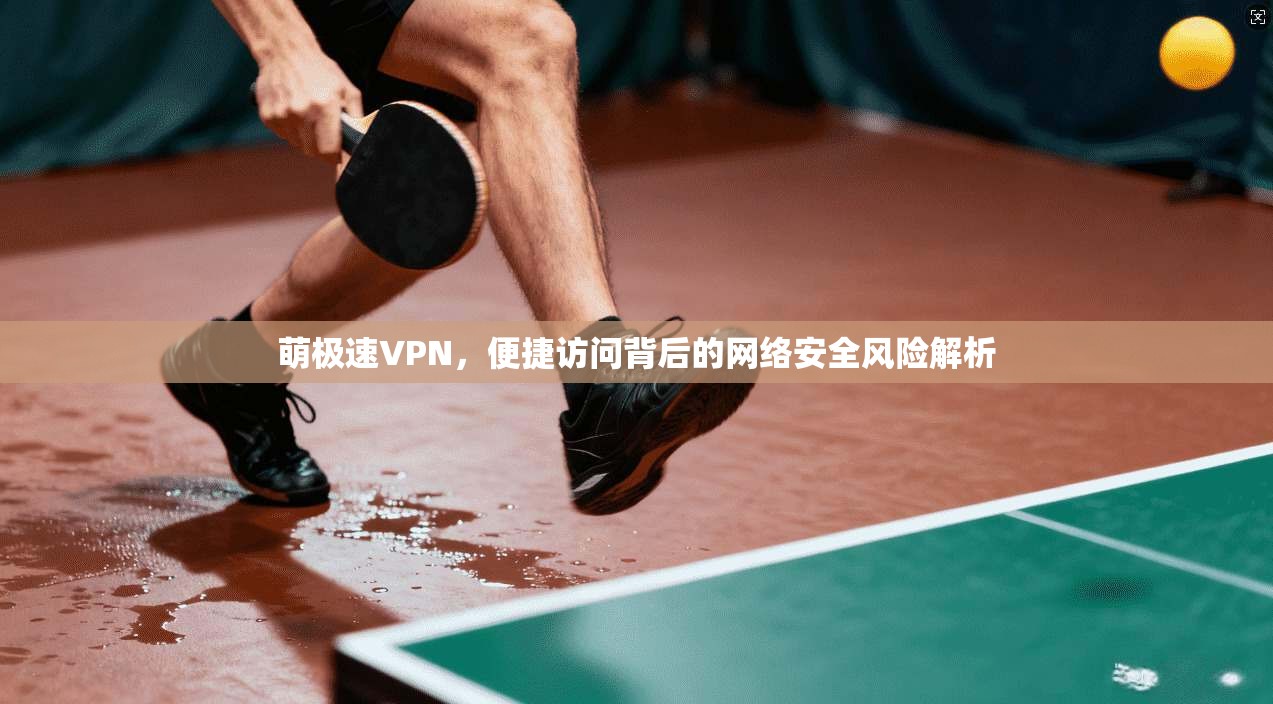 萌极速VPN，便捷访问背后的网络安全风险解析