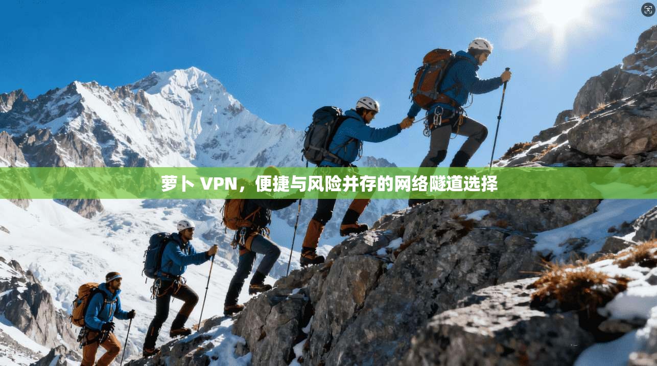萝卜 VPN，便捷与风险并存的网络隧道选择