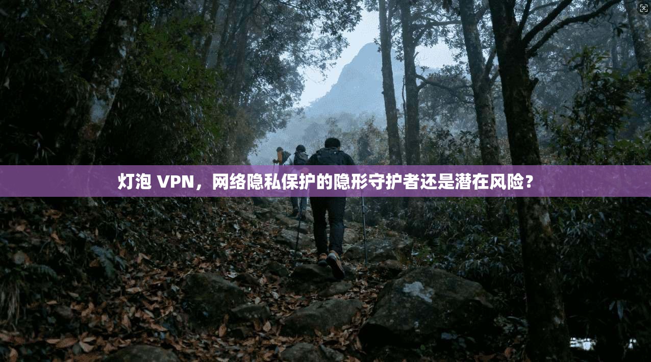 灯泡 VPN,网络隐私保护的隐形守护者还是潜在风险? 灯泡 VPN,网络隐私保护的隐形守护者还是潜在风险?