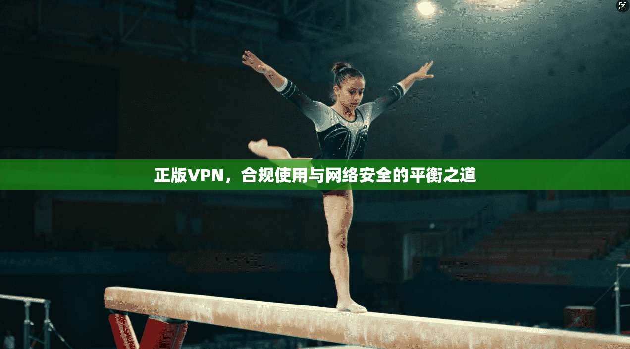 正版VPN，合规使用与网络安全的平衡之道