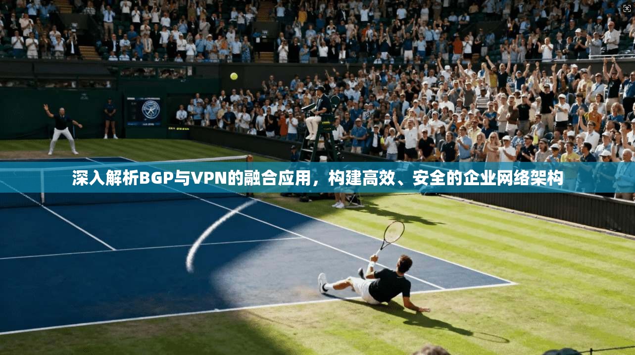 深入解析BGP与VPN的融合应用，构建高效、安全的企业网络架构