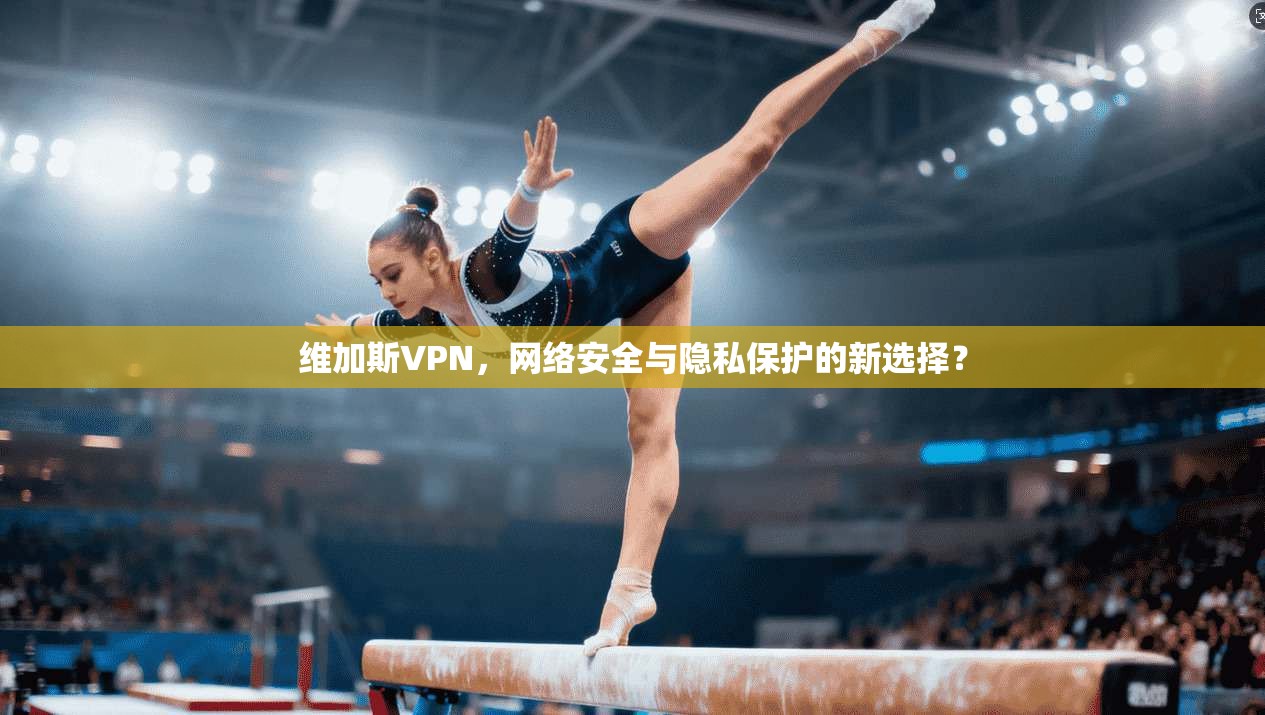 维加斯VPN，网络安全与隐私保护的新选择？