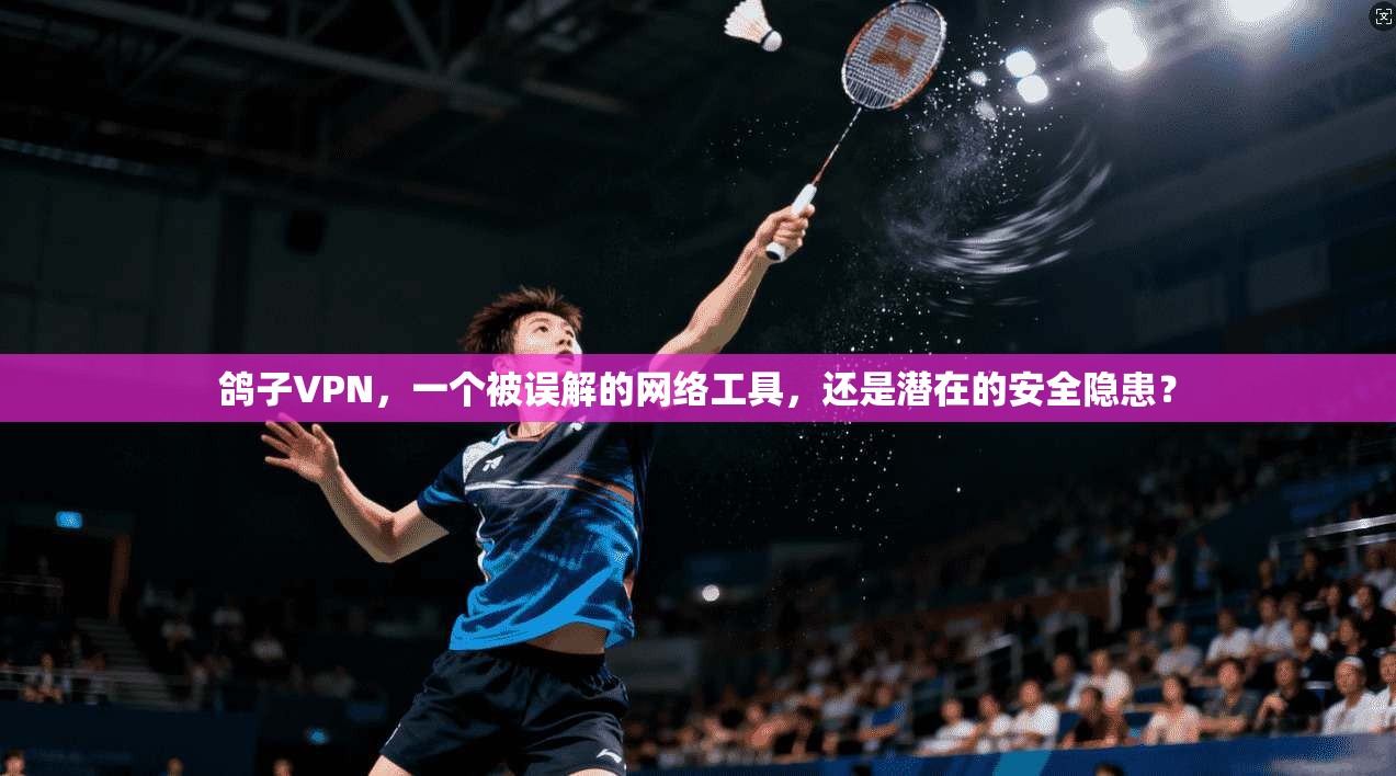 鸽子VPN，一个被误解的网络工具，还是潜在的安全隐患？