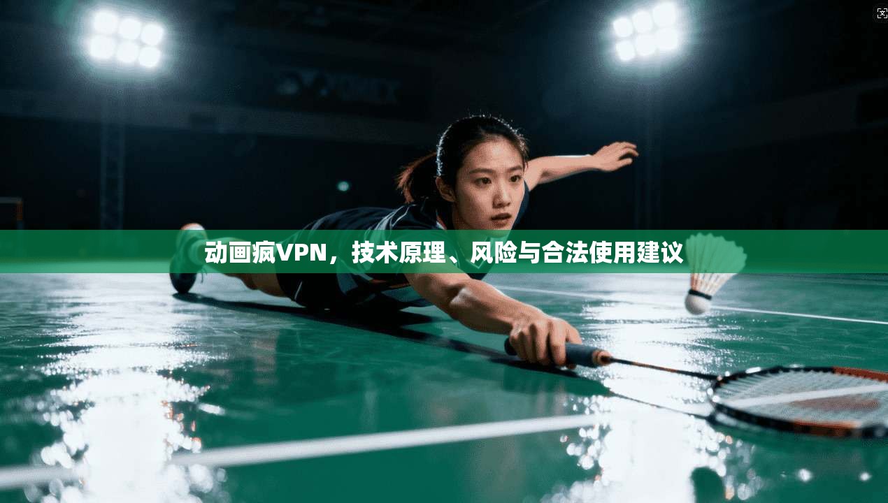 动画疯VPN,技术原理、风险与合法使用建议 动画疯VPN,技术原理、风险与合法使用建议
