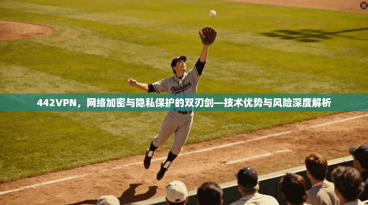 442VPN，网络加密与隐私保护的双刃剑—技术优势与风险深度解析