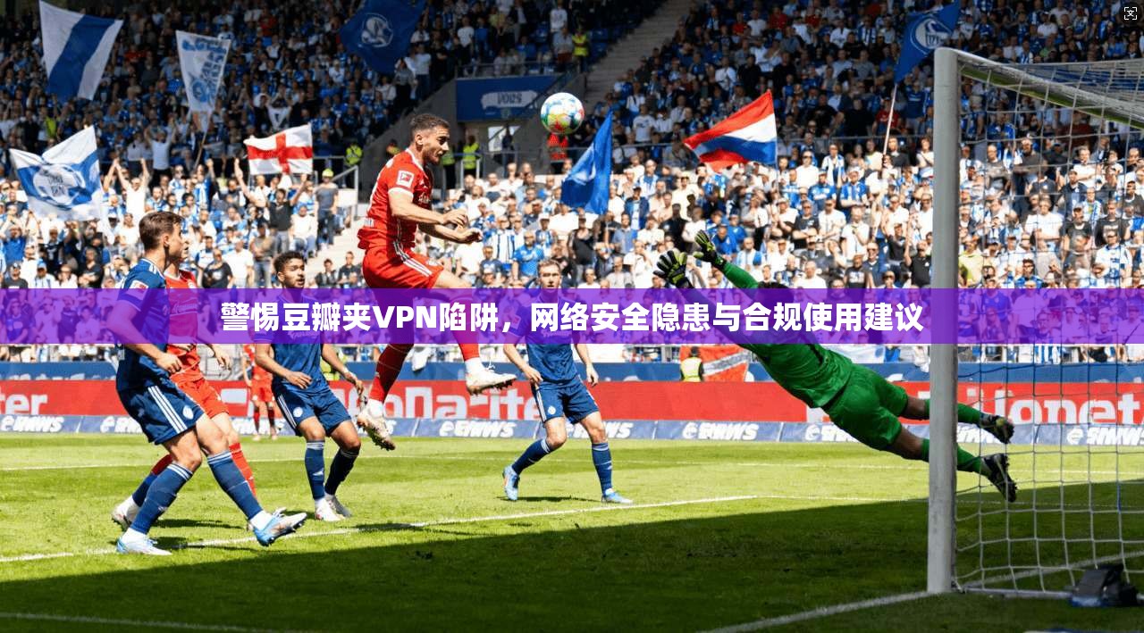 警惕豆瓣夹VPN陷阱，网络安全隐患与合规使用建议