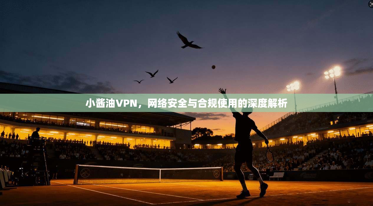 小酱油VPN,网络安全与合规使用的深度解析 小酱油VPN,网络安全与合规使用的深度解析