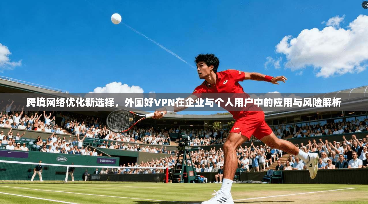 跨境网络优化新选择,外国好VPN在企业与个人用户中的应用与风险解析 跨境网络优化新选择,外国好VPN在企业与个人用户中的应用与风险解析