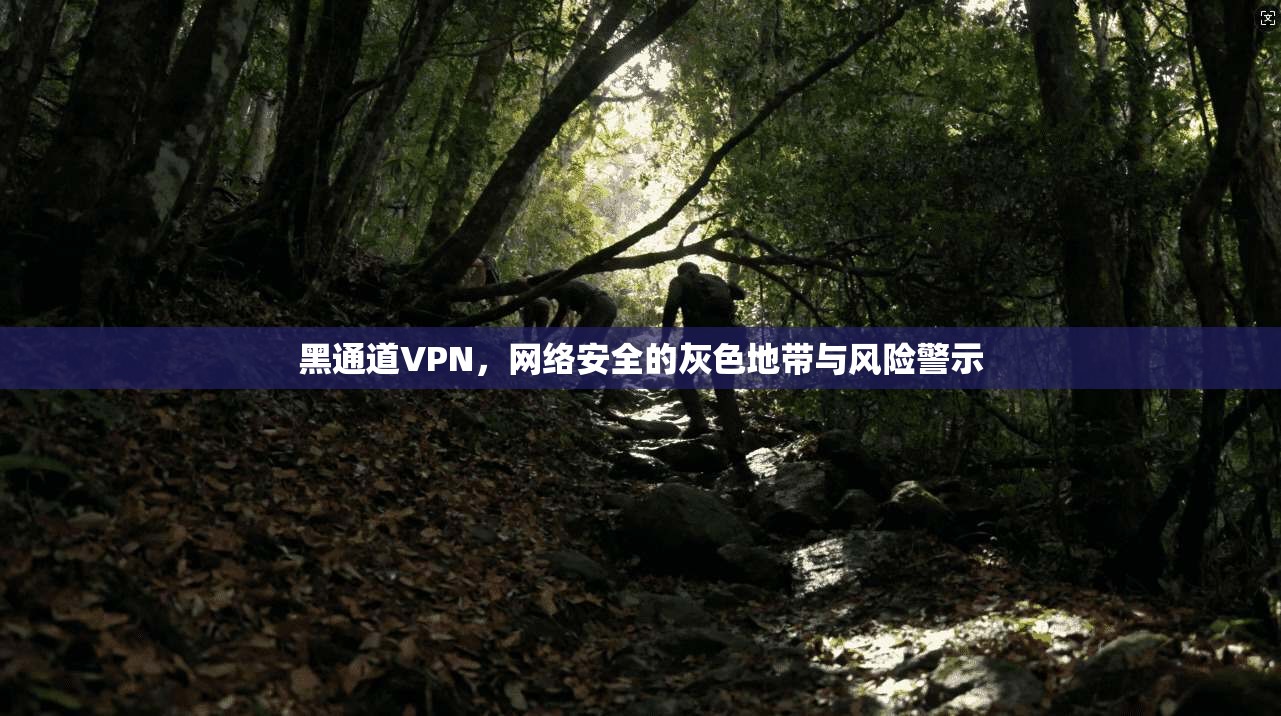 黑通道VPN,网络安全的灰色地带与风险警示 黑通道VPN,网络安全的灰色地带与风险警示
