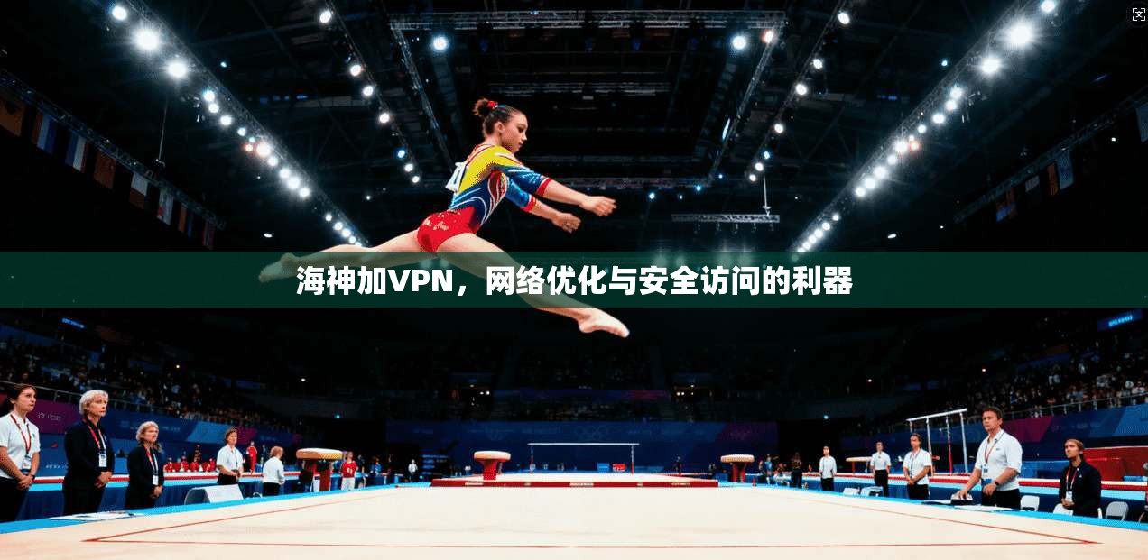 海神加VPN，网络优化与安全访问的利器