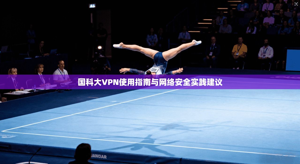 国科大VPN使用指南与网络安全实践建议