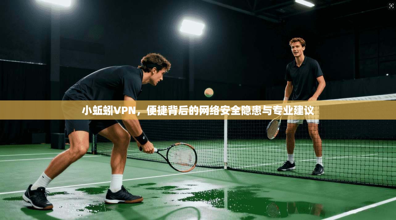 小蚯蚓VPN，便捷背后的网络安全隐患与专业建议