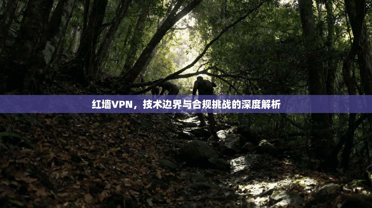 红墙VPN，技术边界与合规挑战的深度解析