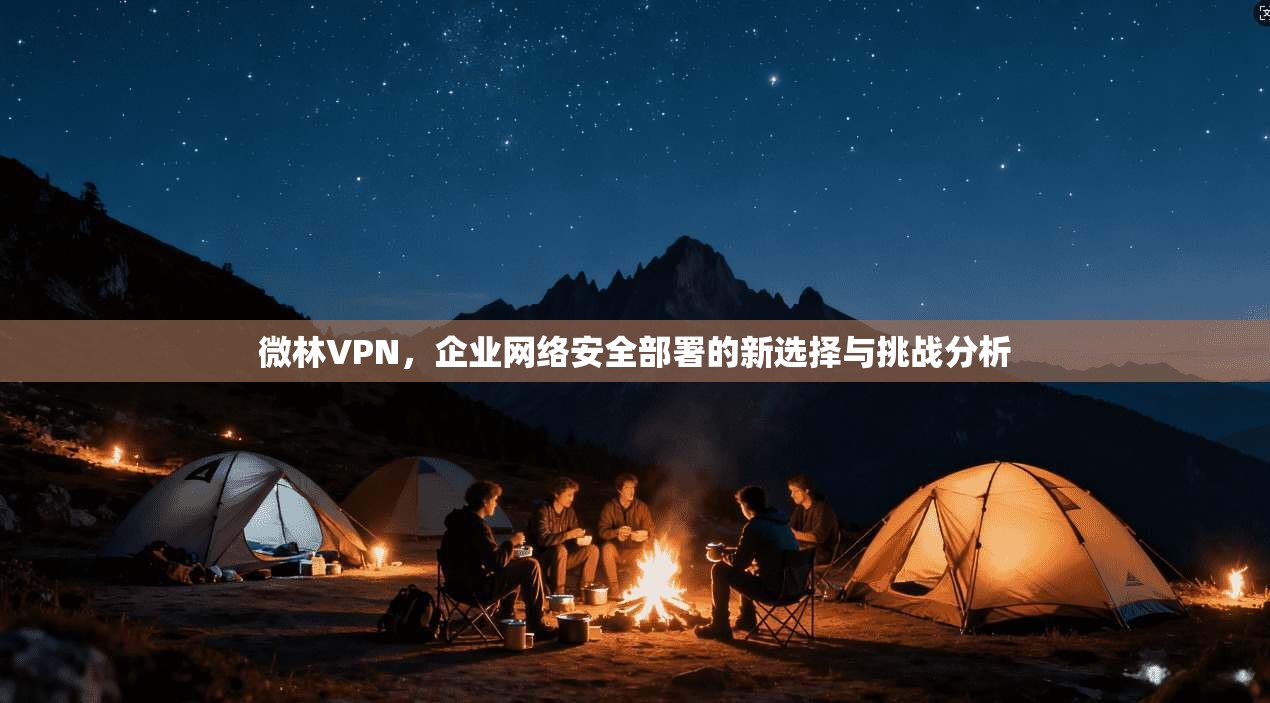 微林VPN，企业网络安全部署的新选择与挑战分析