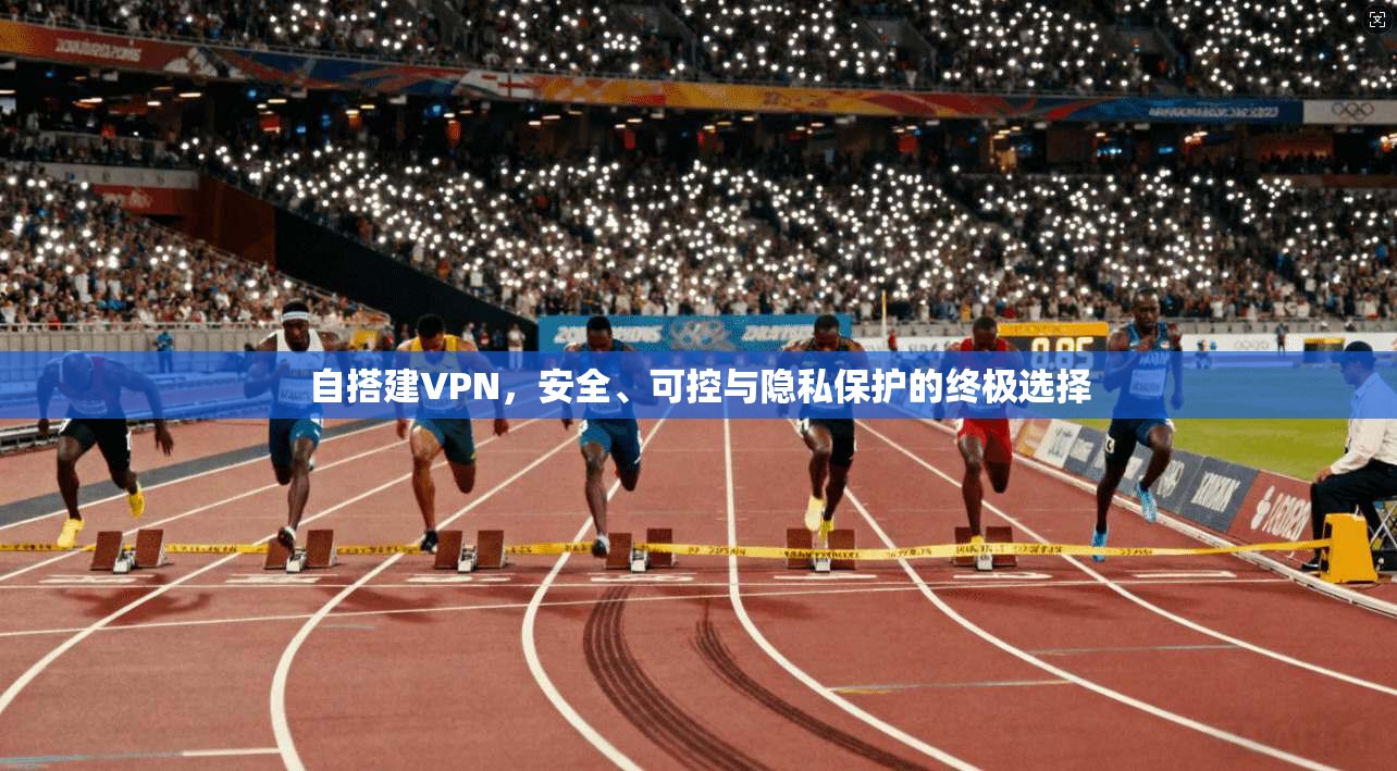 自搭建VPN,安全、可控与隐私保护的终极选择 自搭建VPN,安全、可控与隐私保护的终极选择