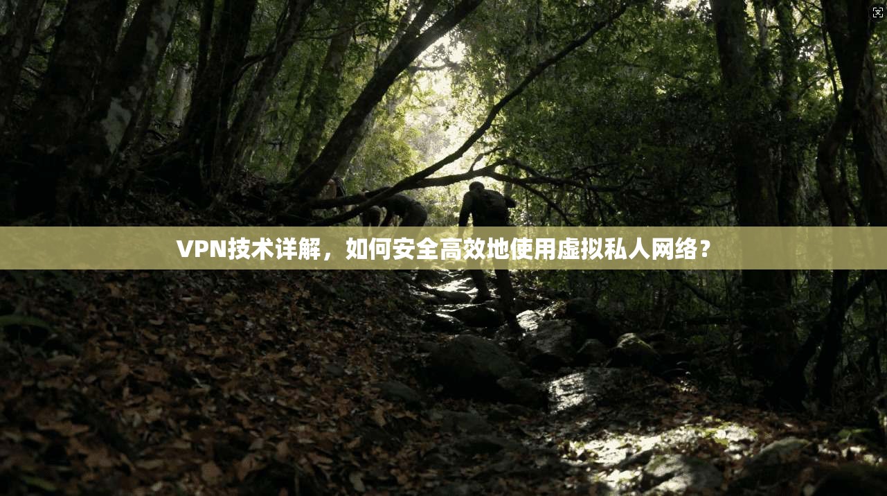 VPN技术详解，如何安全高效地使用虚拟私人网络？