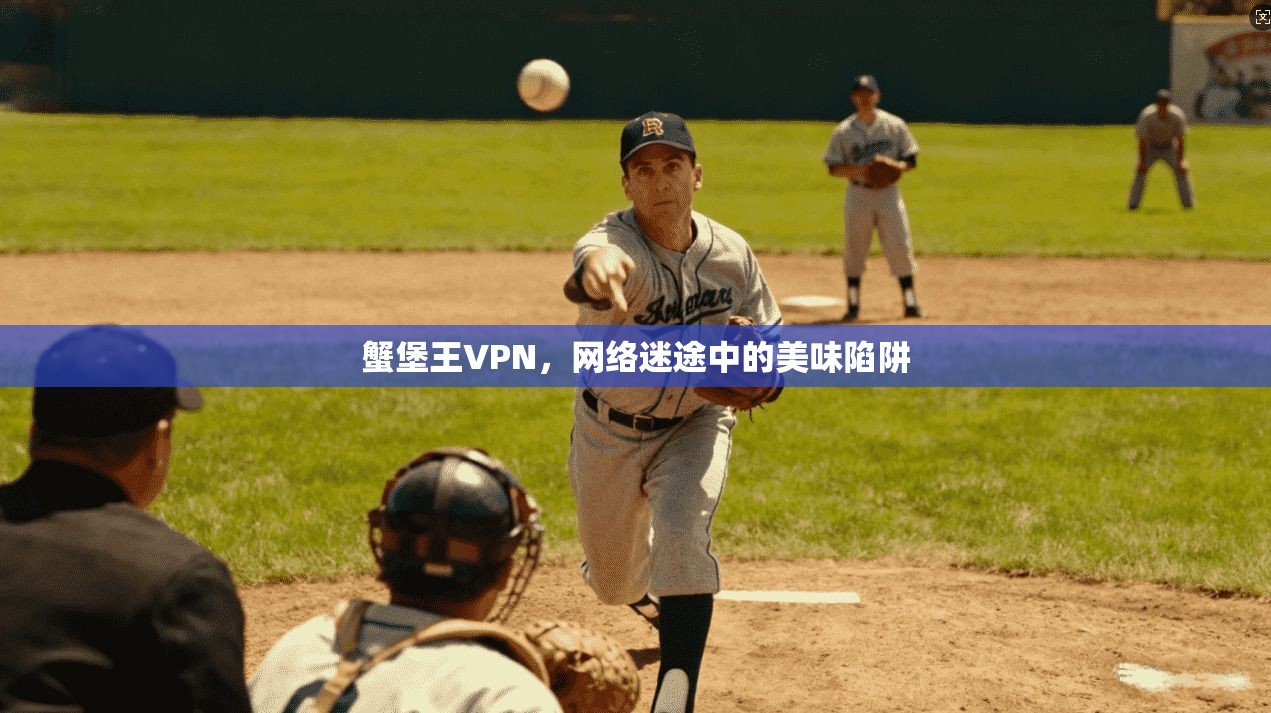 蟹堡王VPN，网络迷途中的美味陷阱