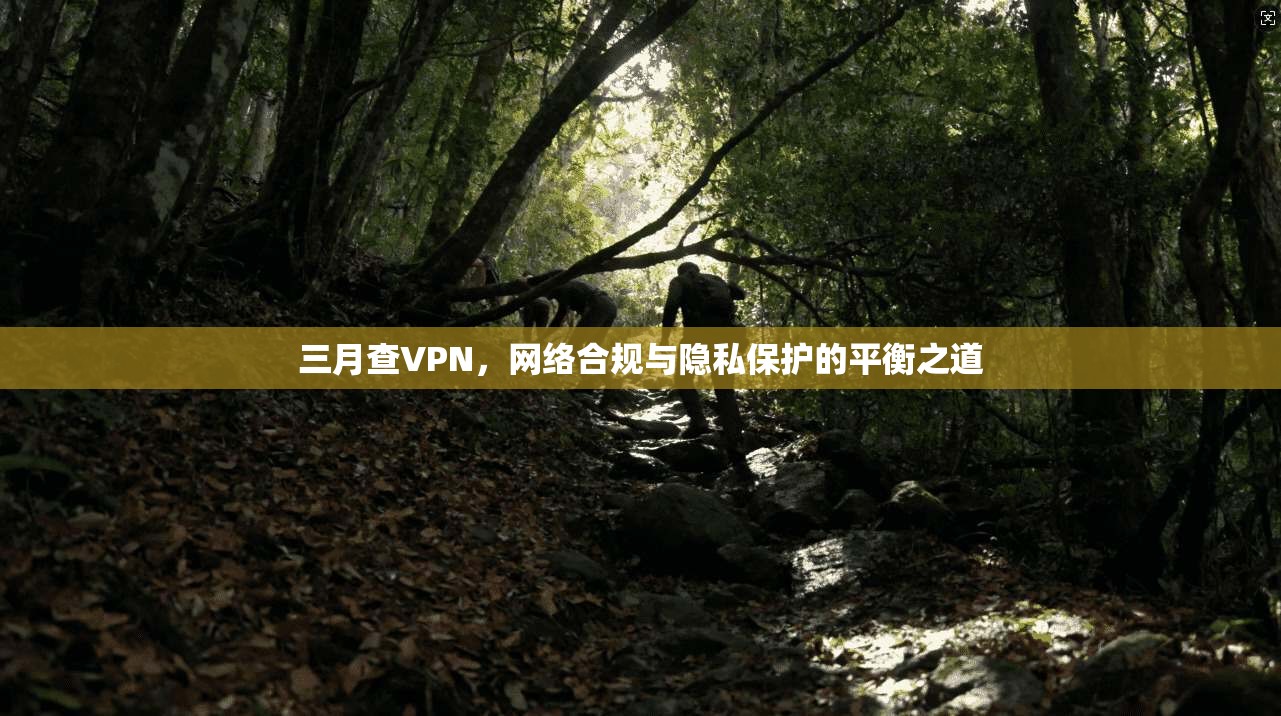三月查VPN，网络合规与隐私保护的平衡之道