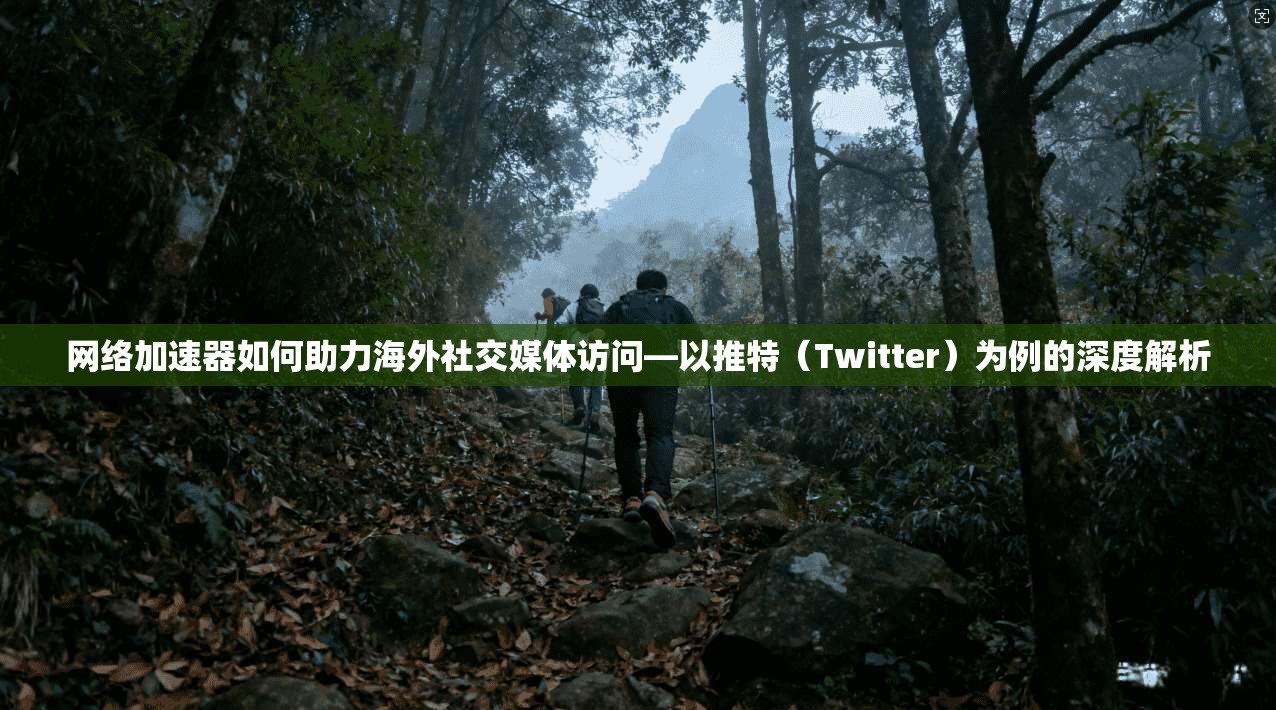 网络加速器如何助力海外社交媒体访问—以推特（Twitter）为例的深度解析