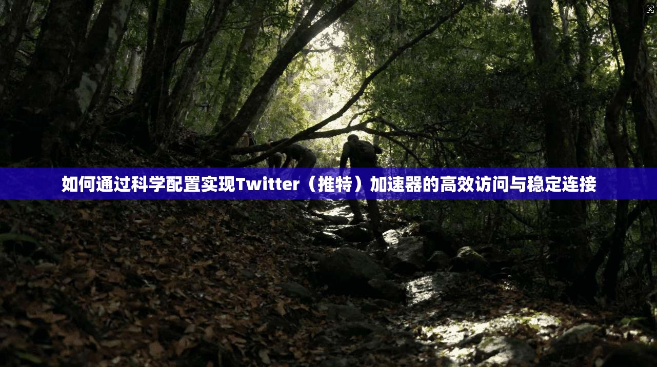 如何通过科学配置实现Twitter（推特）加速器的高效访问与稳定连接