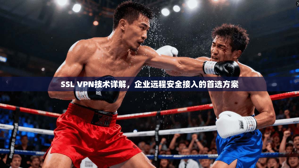 SSL VPN技术详解,企业远程安全接入的首选方案 SSL VPN技术详解,企业远程安全接入的首选方案