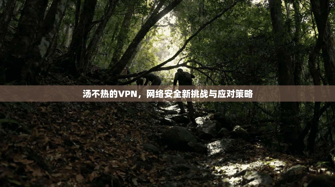 汤不热的VPN，网络安全新挑战与应对策略