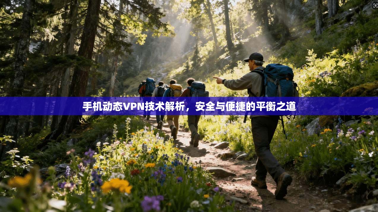 手机动态VPN技术解析，安全与便捷的平衡之道