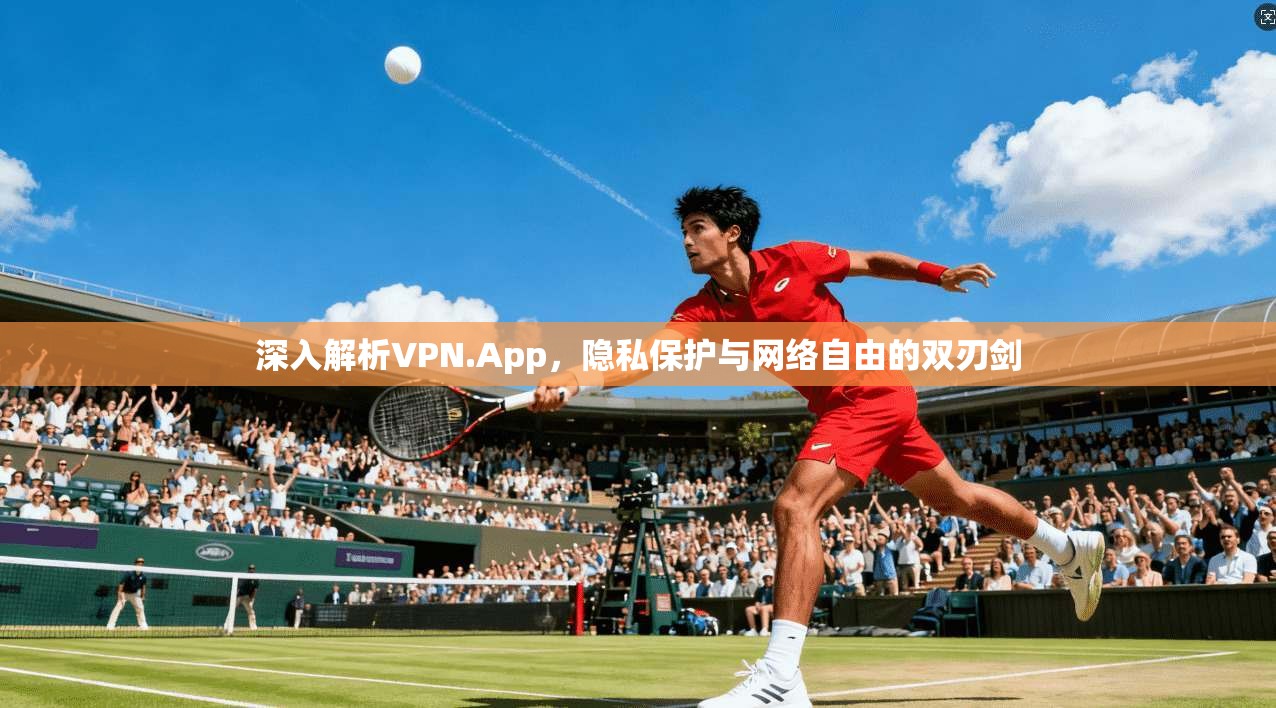 深入解析VPN.App，隐私保护与网络自由的双刃剑