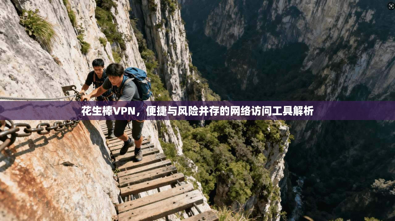 花生棒VPN，便捷与风险并存的网络访问工具解析