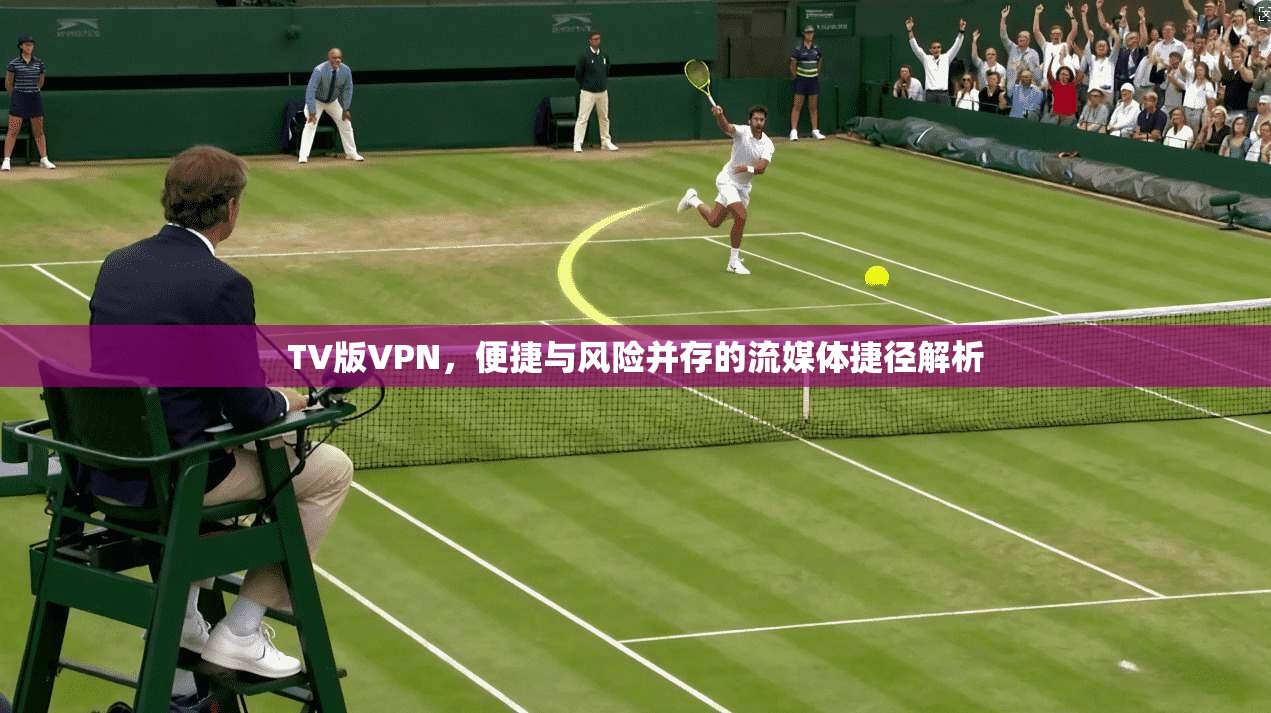 TV版VPN，便捷与风险并存的流媒体捷径解析