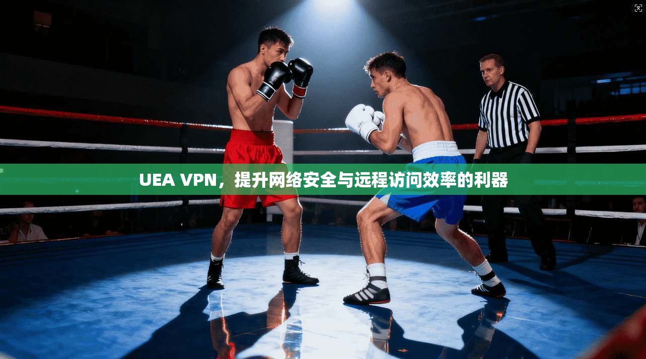 UEA VPN，提升网络安全与远程访问效率的利器