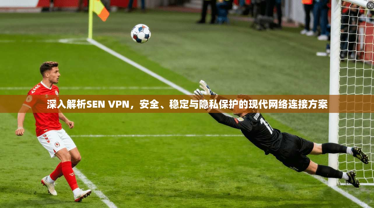 深入解析SEN VPN，安全、稳定与隐私保护的现代网络连接方案